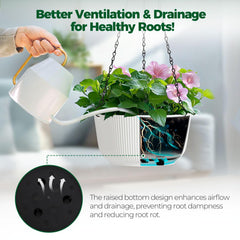 T4U Hanging Planter showcasing plants inside