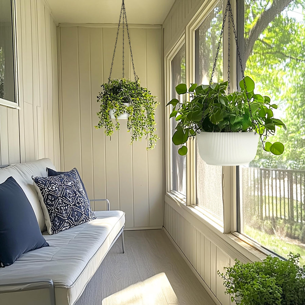 T4U Hanging Planter with a succulent plant
