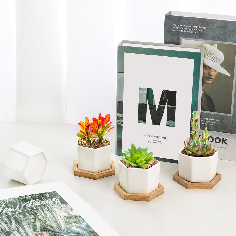 T4U hexagon planter on office desk with small herb