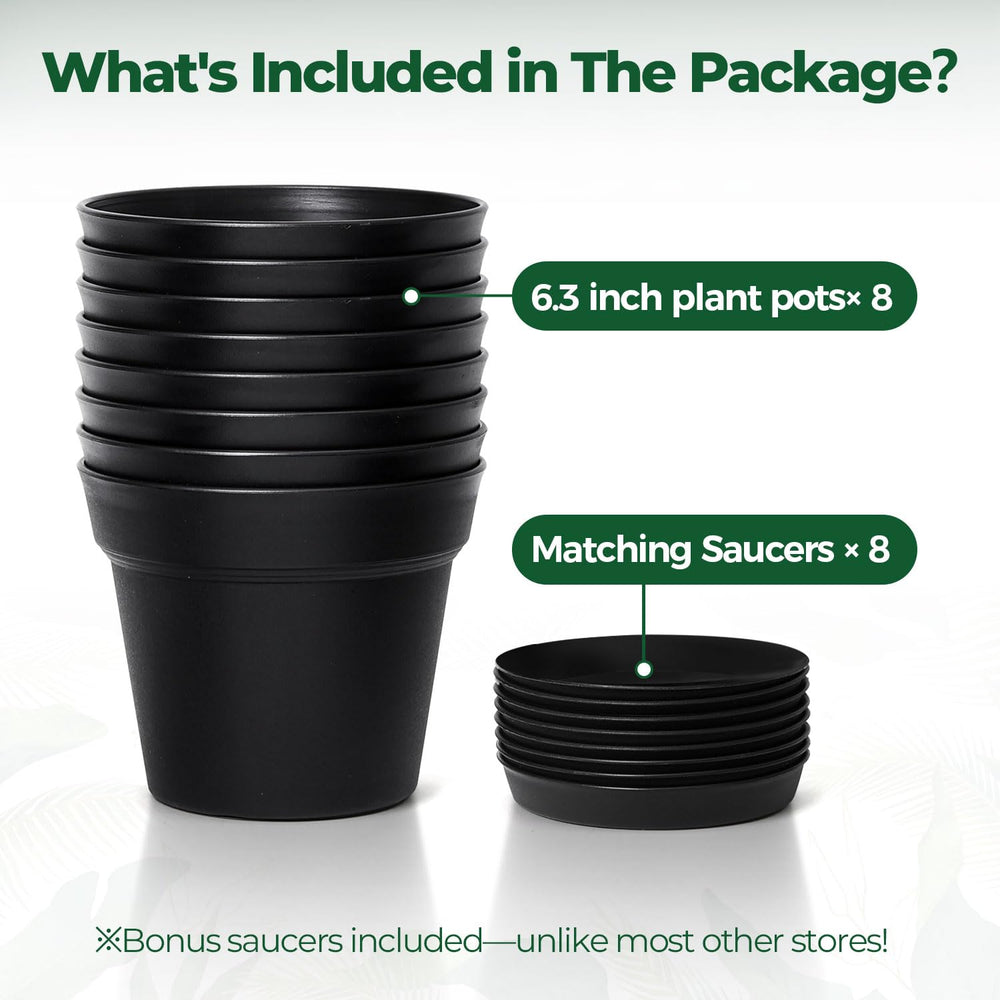 T4U plant pots with herbs indoors