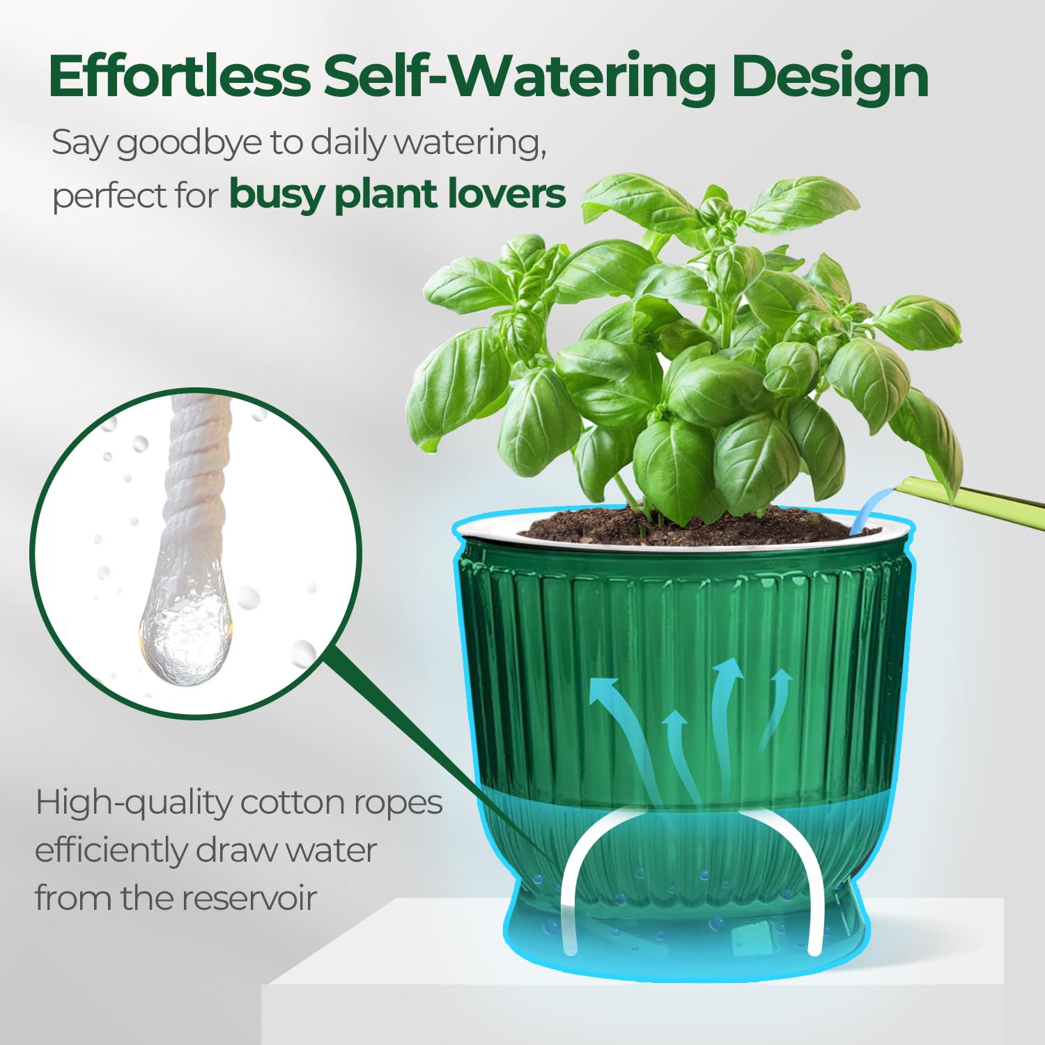 T4U planter saucer included with self watering pot