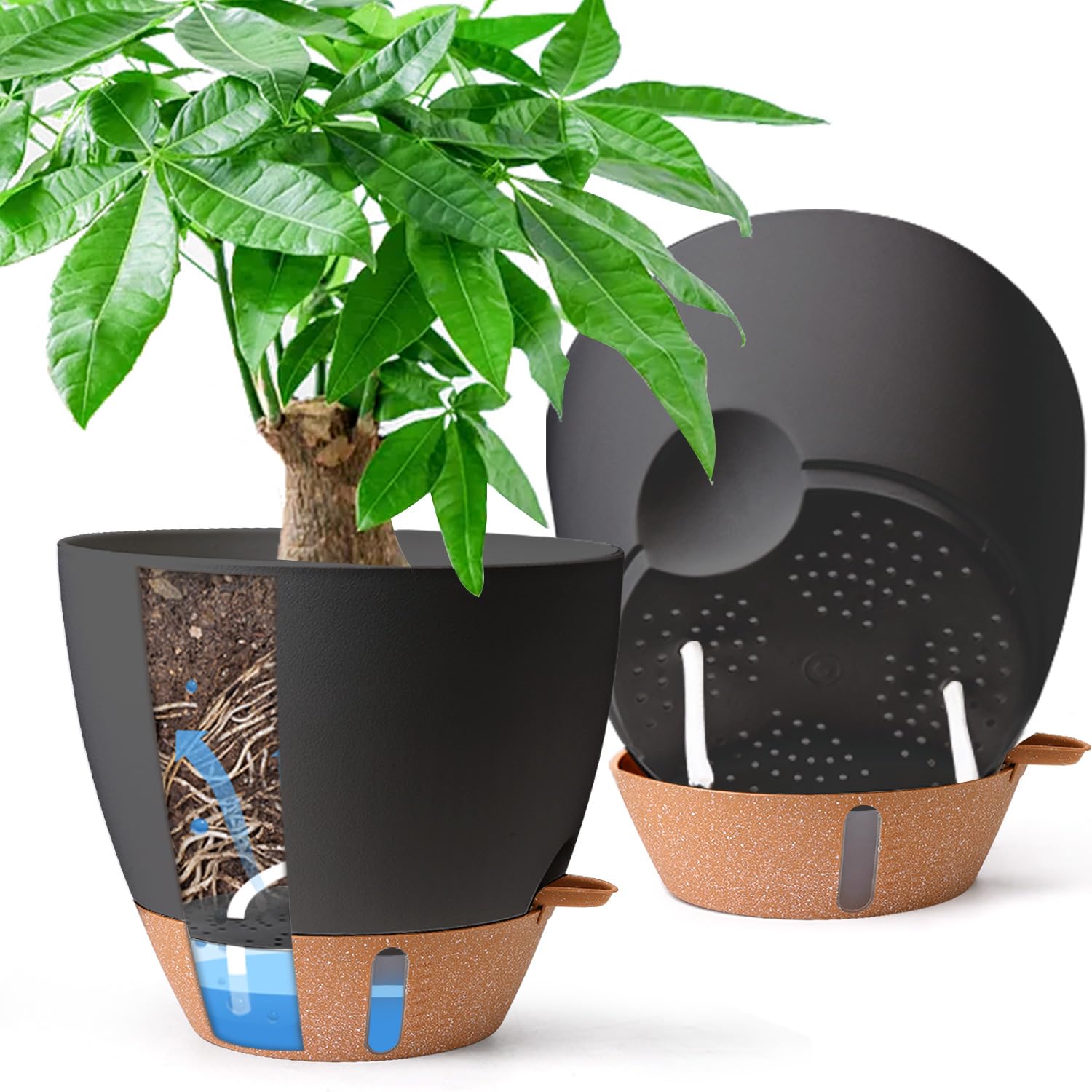 T4U Self-Watering Pot 10 Inch Black front view