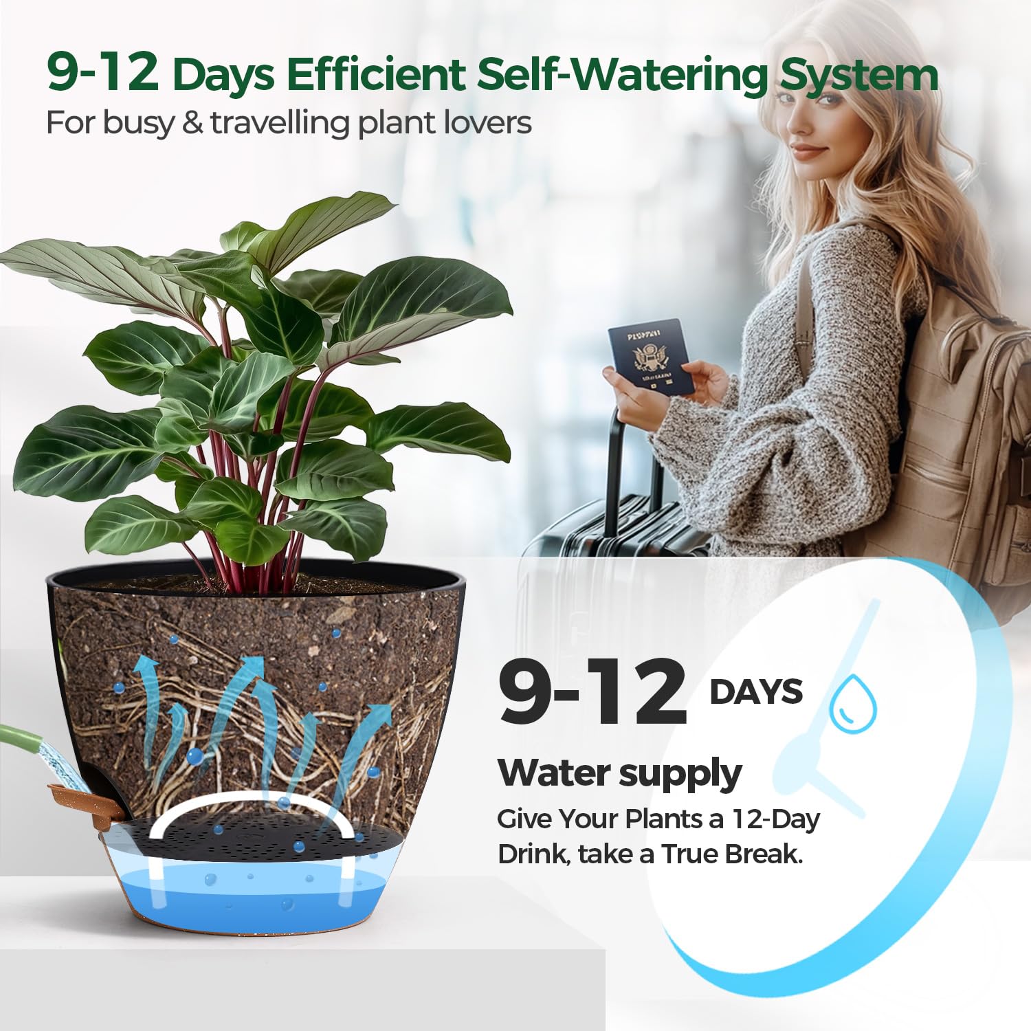 T4U Self-Watering Pot 10 Inch Black showing water level window