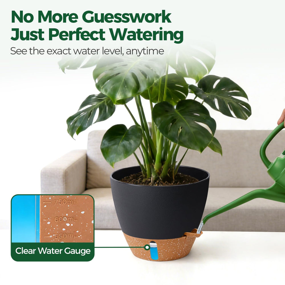 T4U Self-Watering Pot 10 Inch Black with Fiddle Leaf Fig