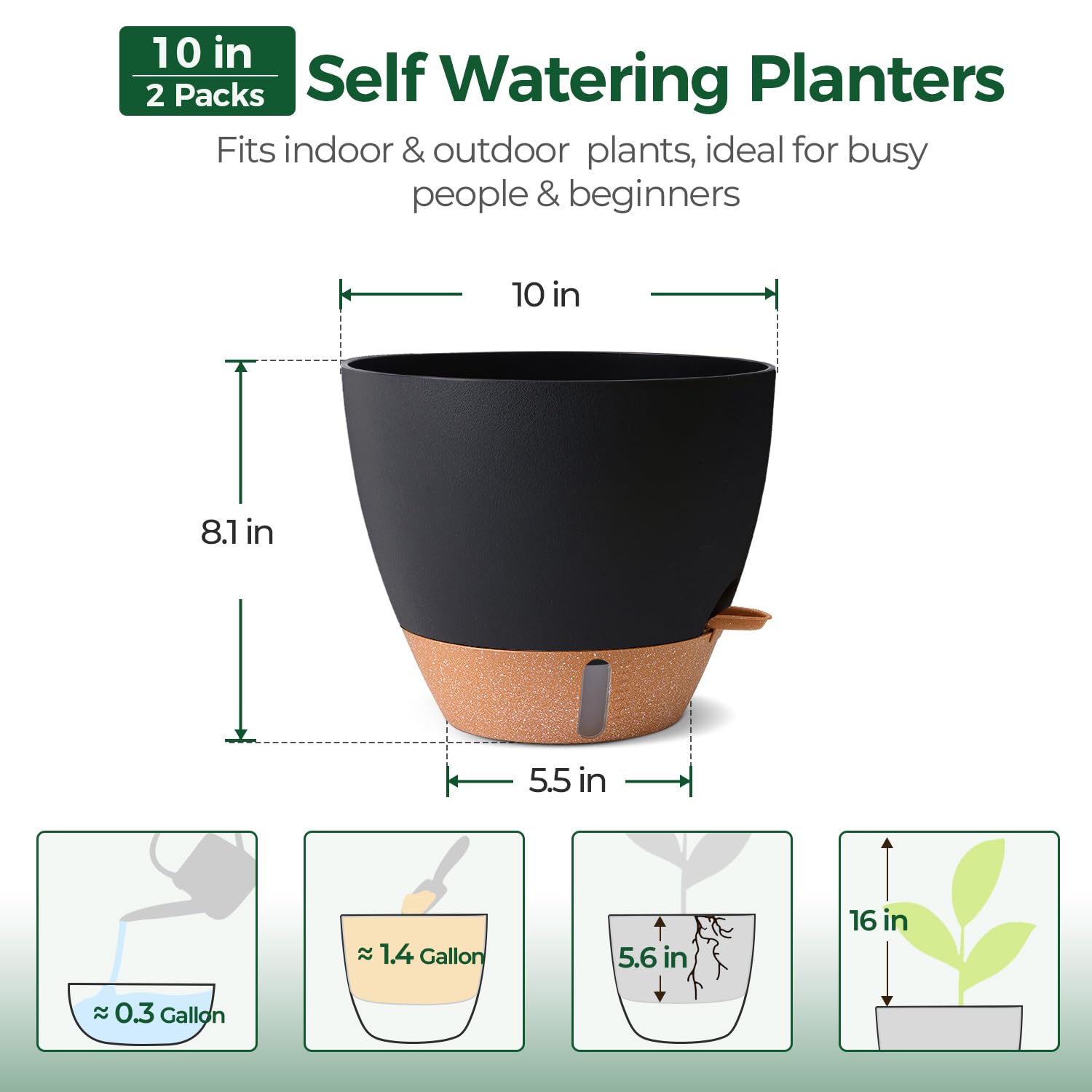 T4U Self-Watering Pot 10 Inch Black with plants
