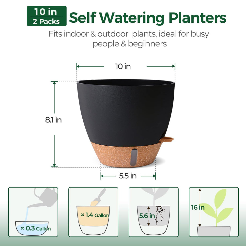 T4U Self-Watering Pot 10 Inch Black with plants