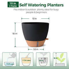 T4U Self-Watering Pot 10 Inch Black with plants