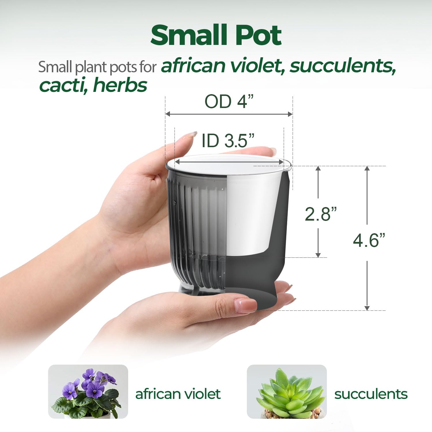 T4U Self Watering Pot 4 Inch showing clear water level indicator