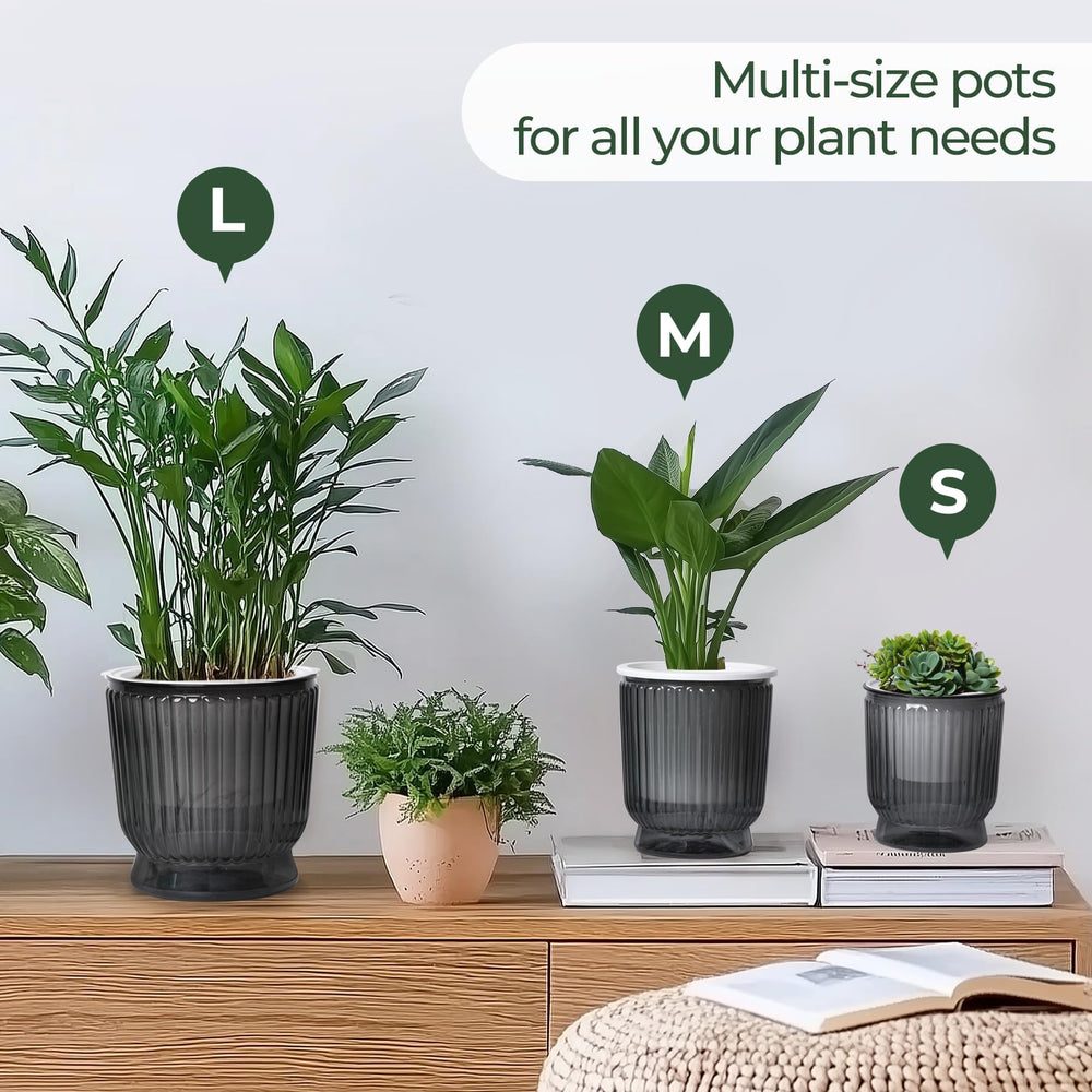 T4U Self Watering Pot 4 Inch with multiple indoor plants