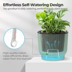 T4U Self Watering Pot, 4 pack arrangement on a table