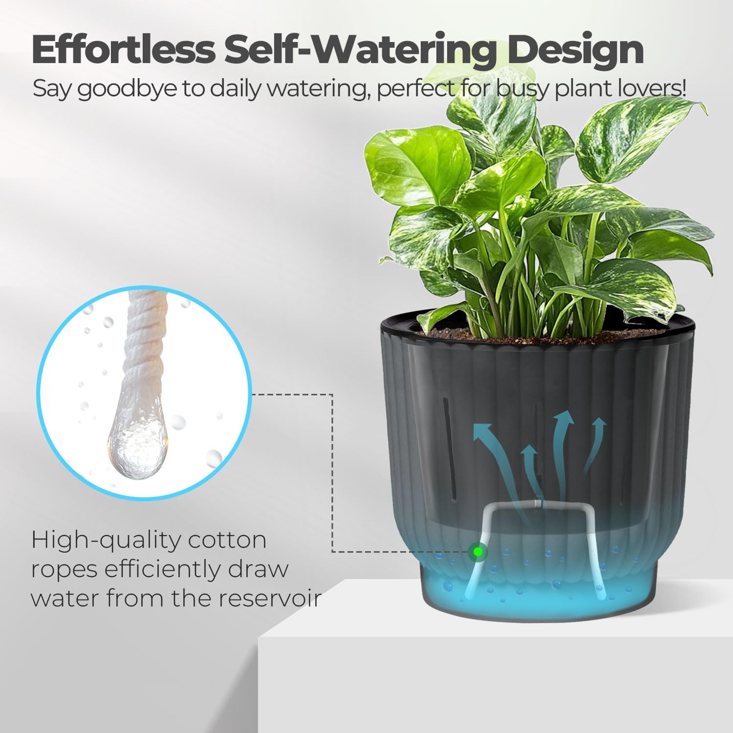 T4U Self Watering Pot 7 inch gray with plants