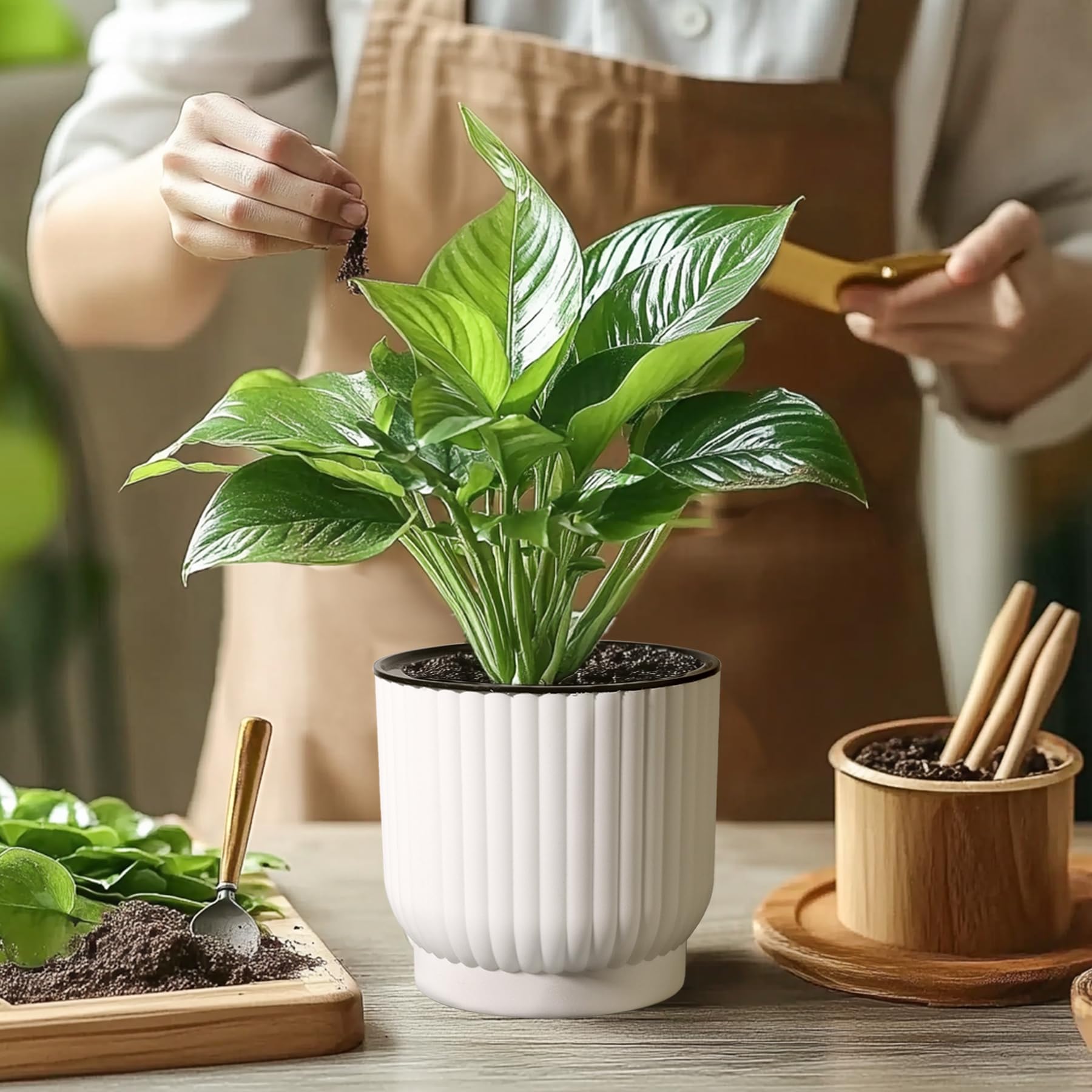 T4U Self Watering Pot 7 Inch in a modern interior