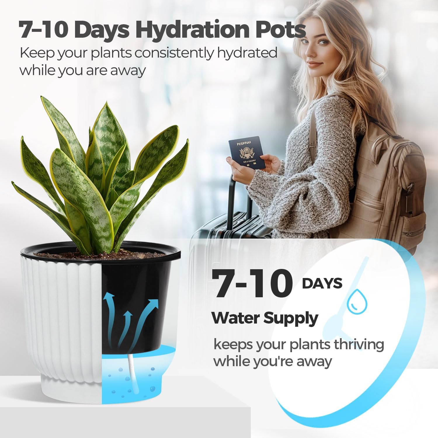T4U Self Watering Pot 7 Inch with water reservoir