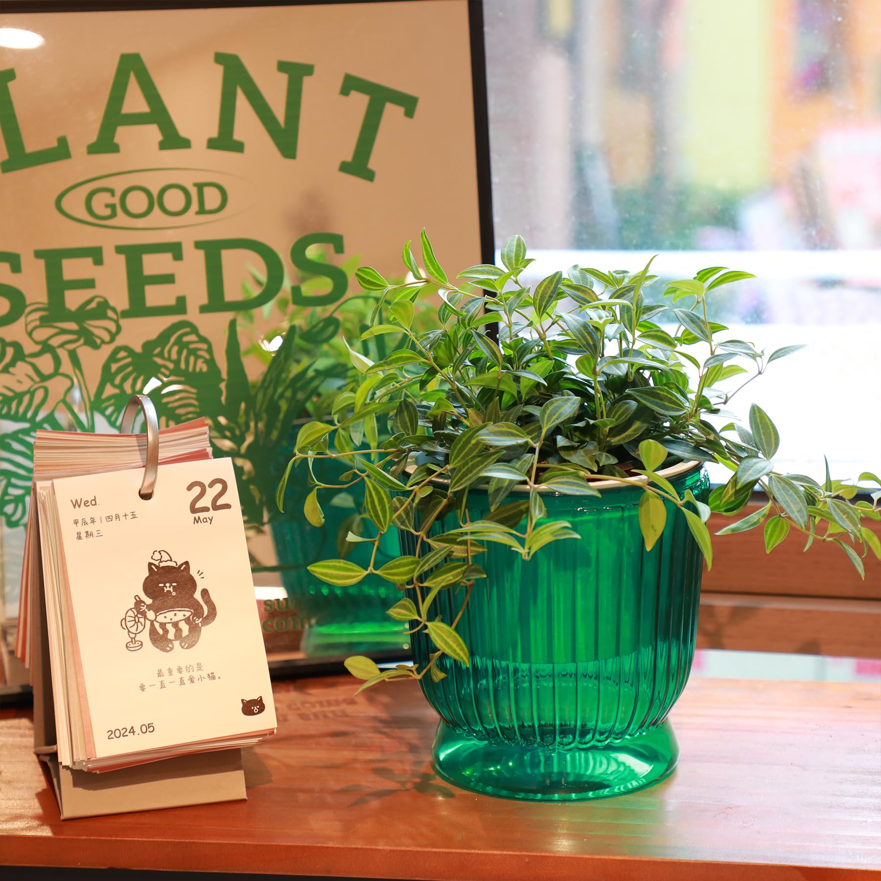T4U self watering pot showcasing its durable material