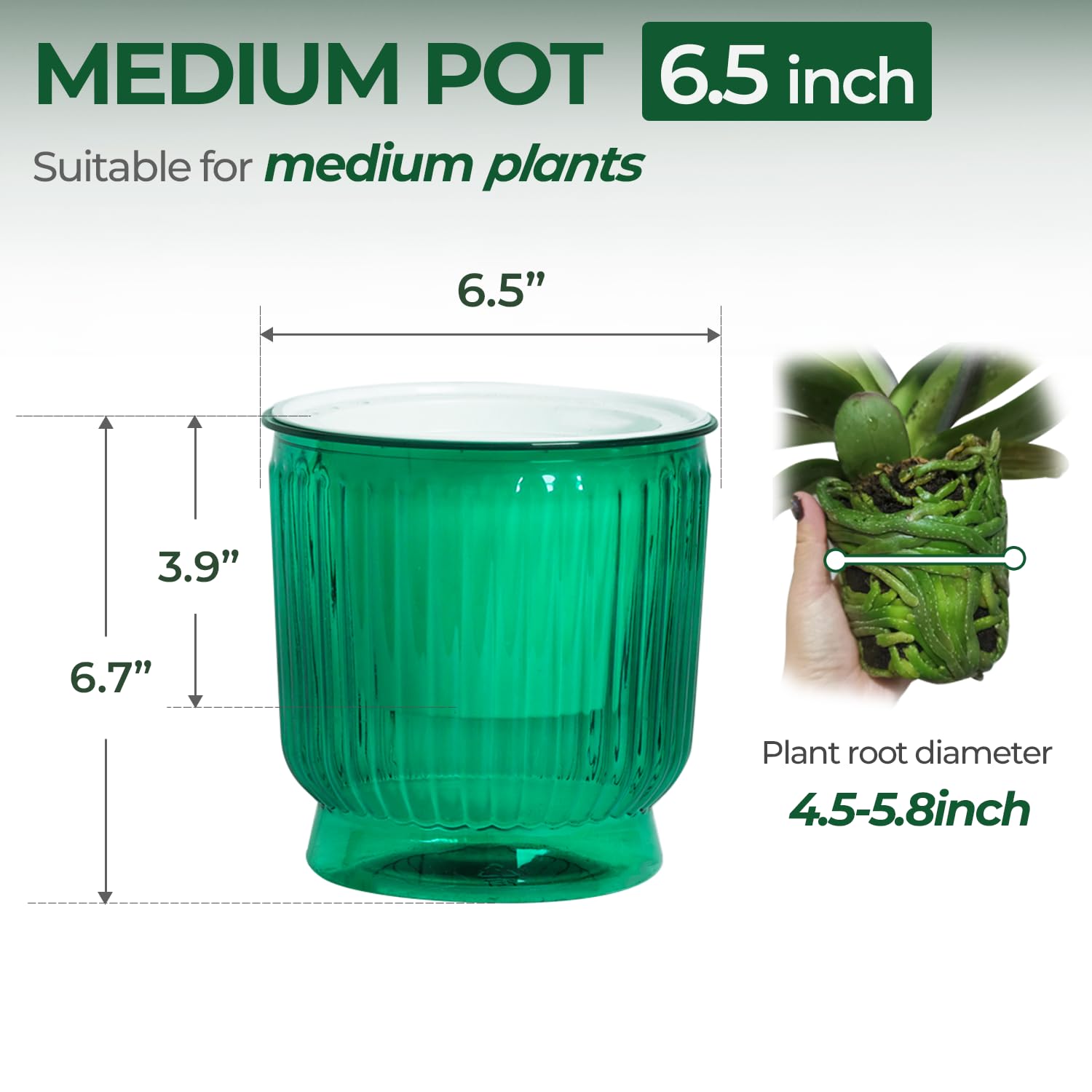 T4U self watering pot with clear water level indicator