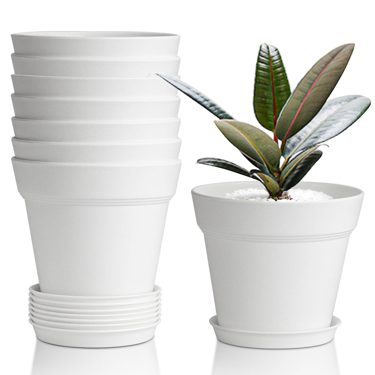 T4U Small Plant Pots 4 Inch white with saucers front view
