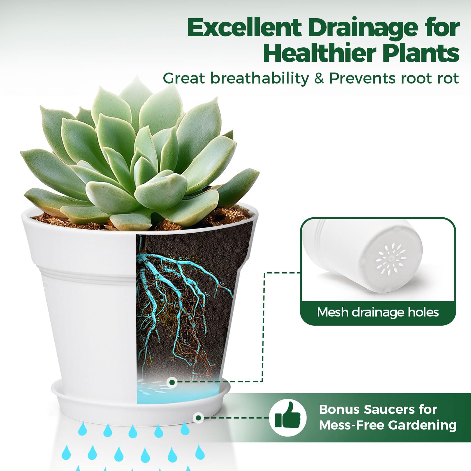 T4U Small Plant Pots 4 Inch white with succulents