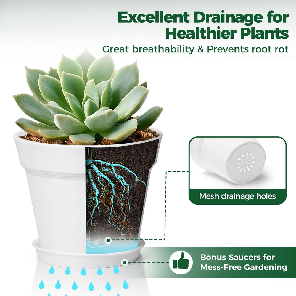 T4U Small Plant Pots 4 Inch white with succulents