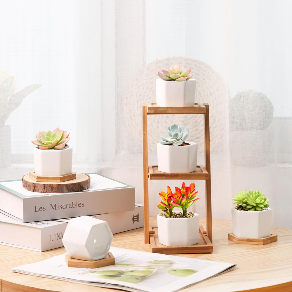 T4U Small Succulent Pot with small succulent plant