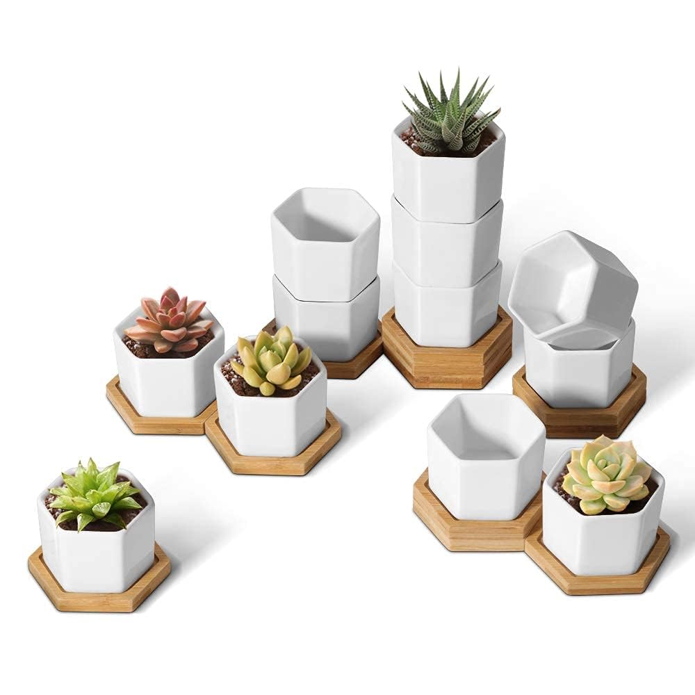 T4U Small Succulent Pots hexagon design in white