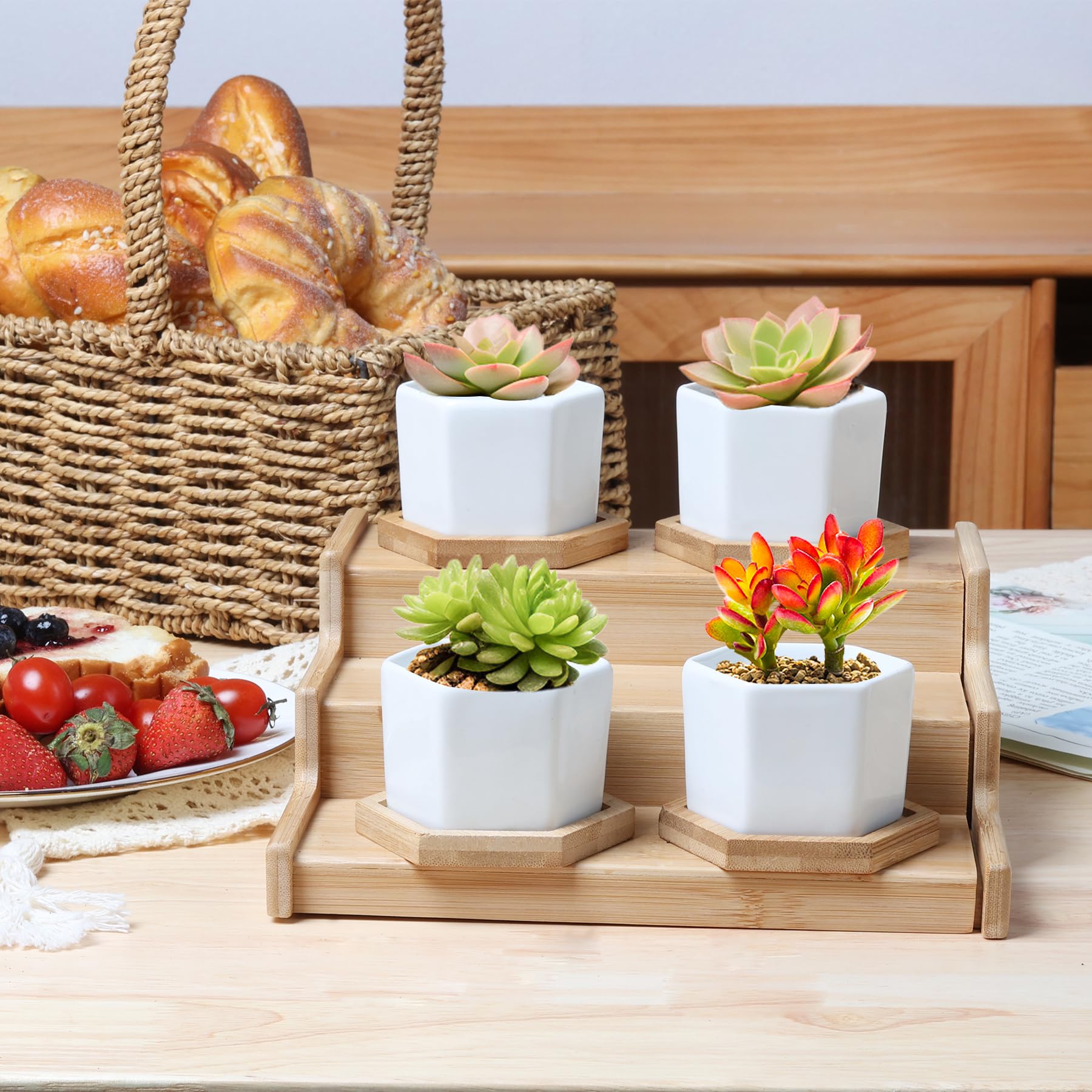 T4U Small Succulent Pots with decorative plants