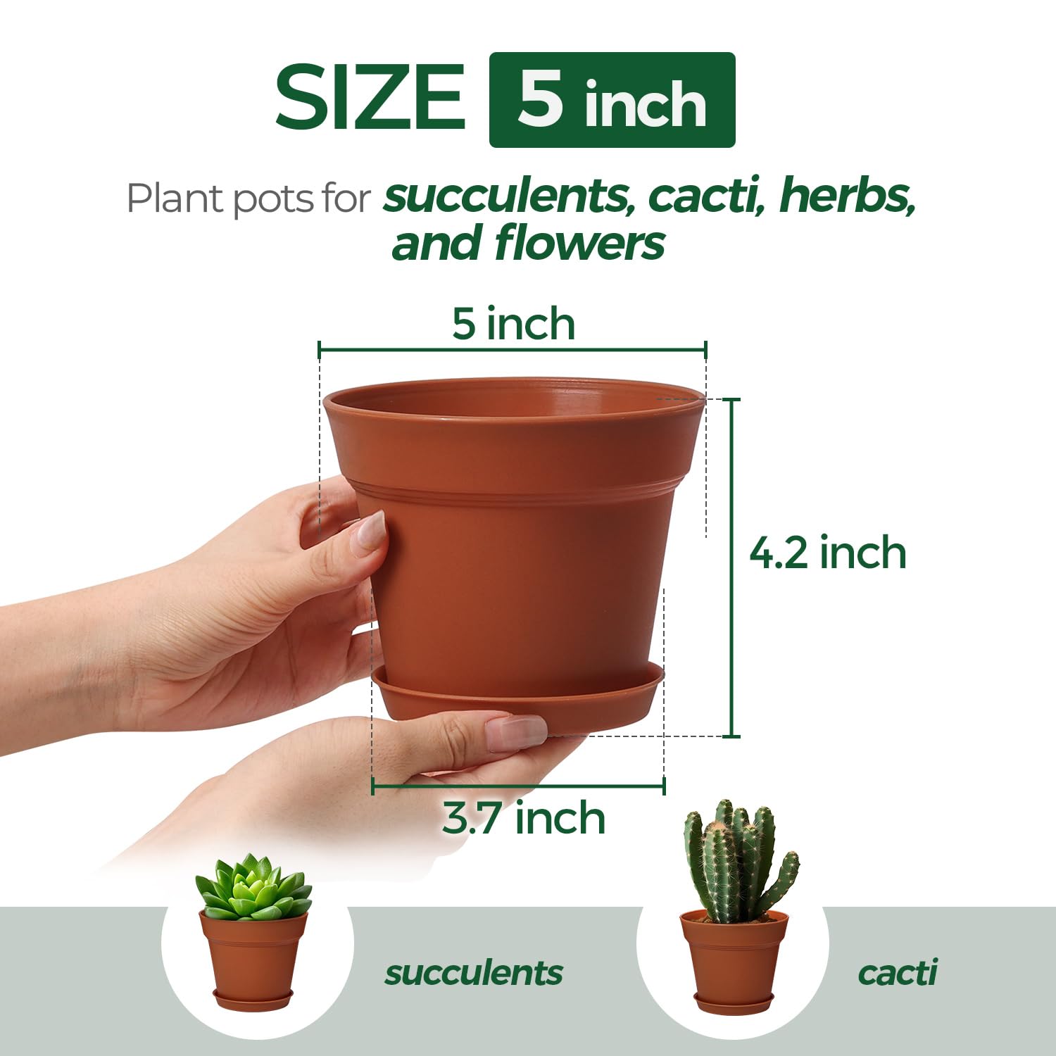 T4U terracotta pots arranged with succulents