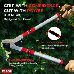 TABOR TOOLS Extendable Anvil Lopper cutting a thick branch