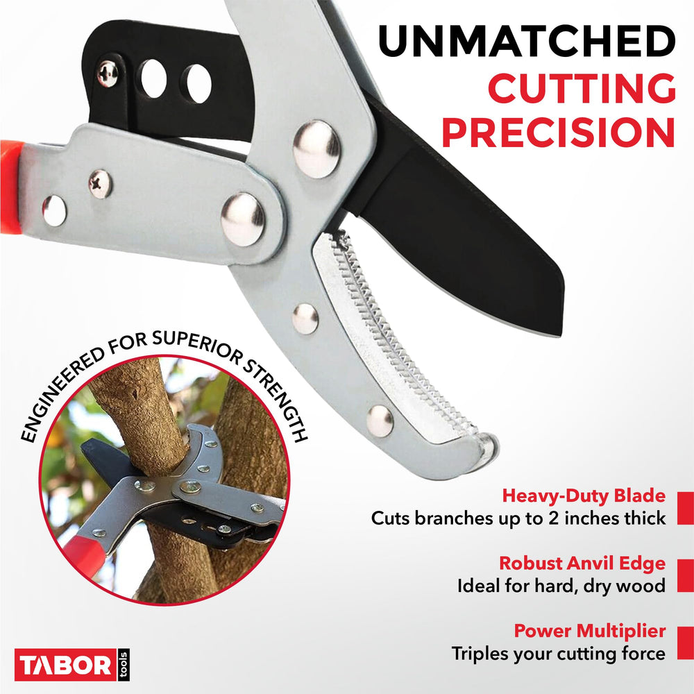 TABOR TOOLS Extendable Anvil Lopper in extended position showing length