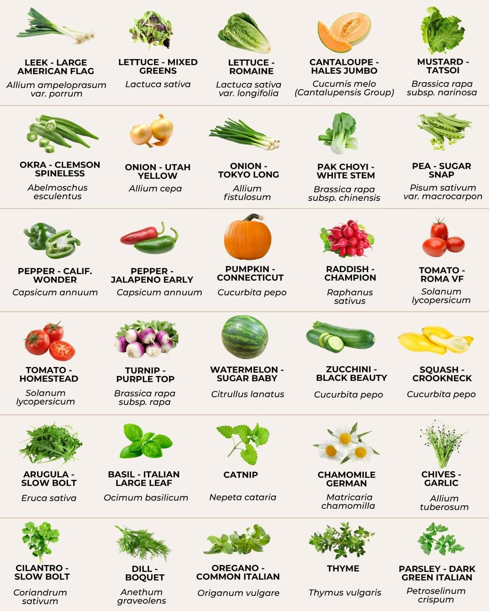 Tactiko seed kit displayed with planting guide and tools