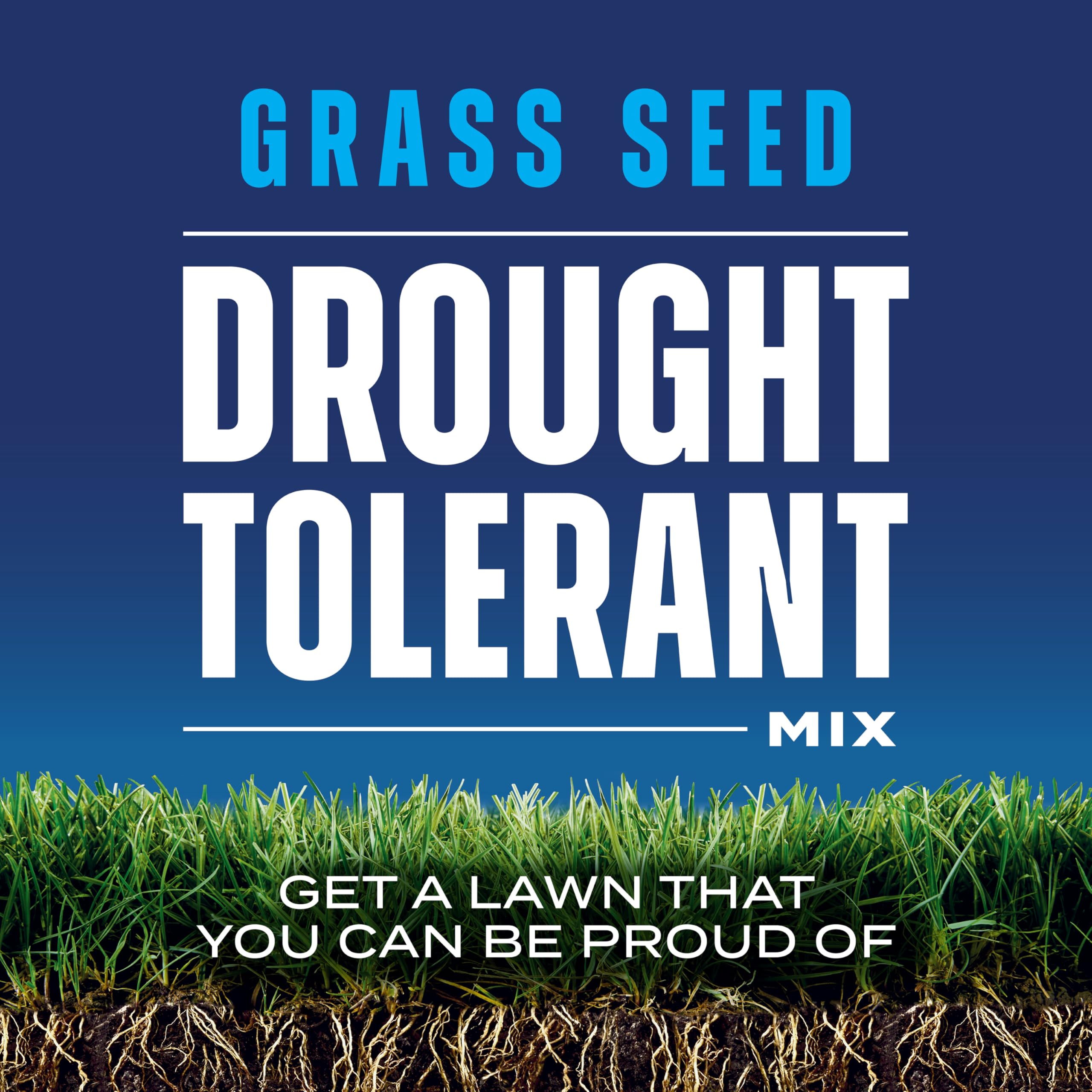 Tall Fescue and Kentucky Bluegrass seeds from Scotts