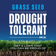 Tall Fescue and Kentucky Bluegrass seeds from Scotts