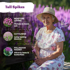 Tall pink and purple spikes of Liatris spicata flowers