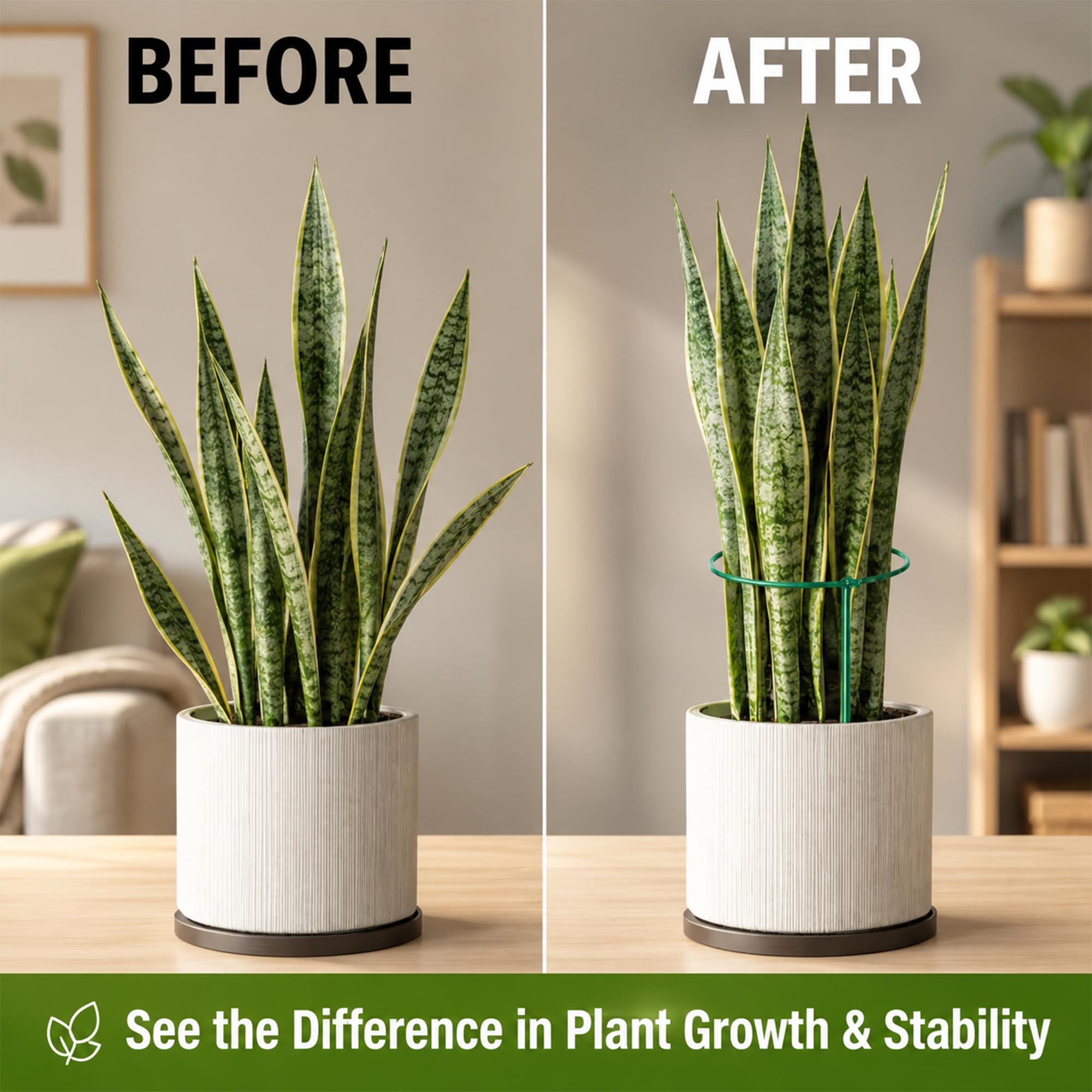 Tall plant support stakes set arranged in a row