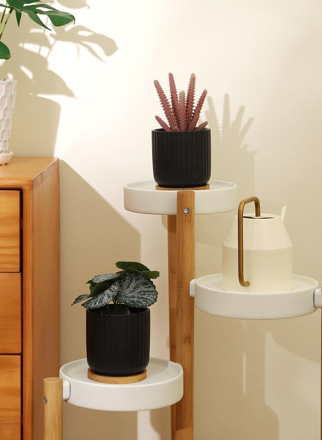 TAMAYKIM ceramic planters in various indoor settings