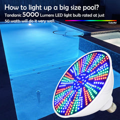 Tandanic Pool Light Bulb showing multiple colour options