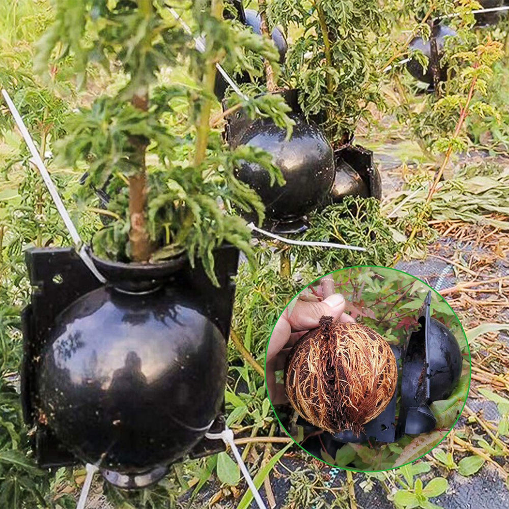 Tanzfrosch propagation kit showing durable plastic material