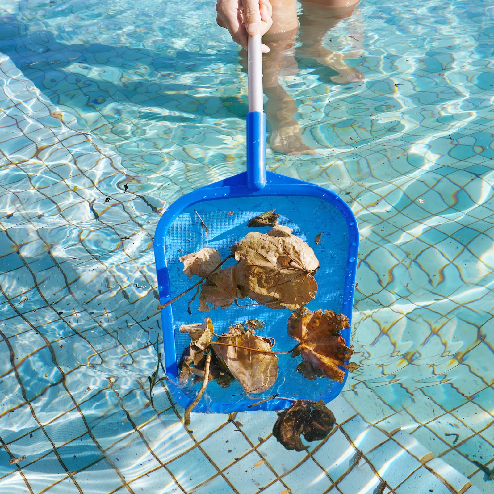Tavaleu Pool Skimmer Net packaging and specifications