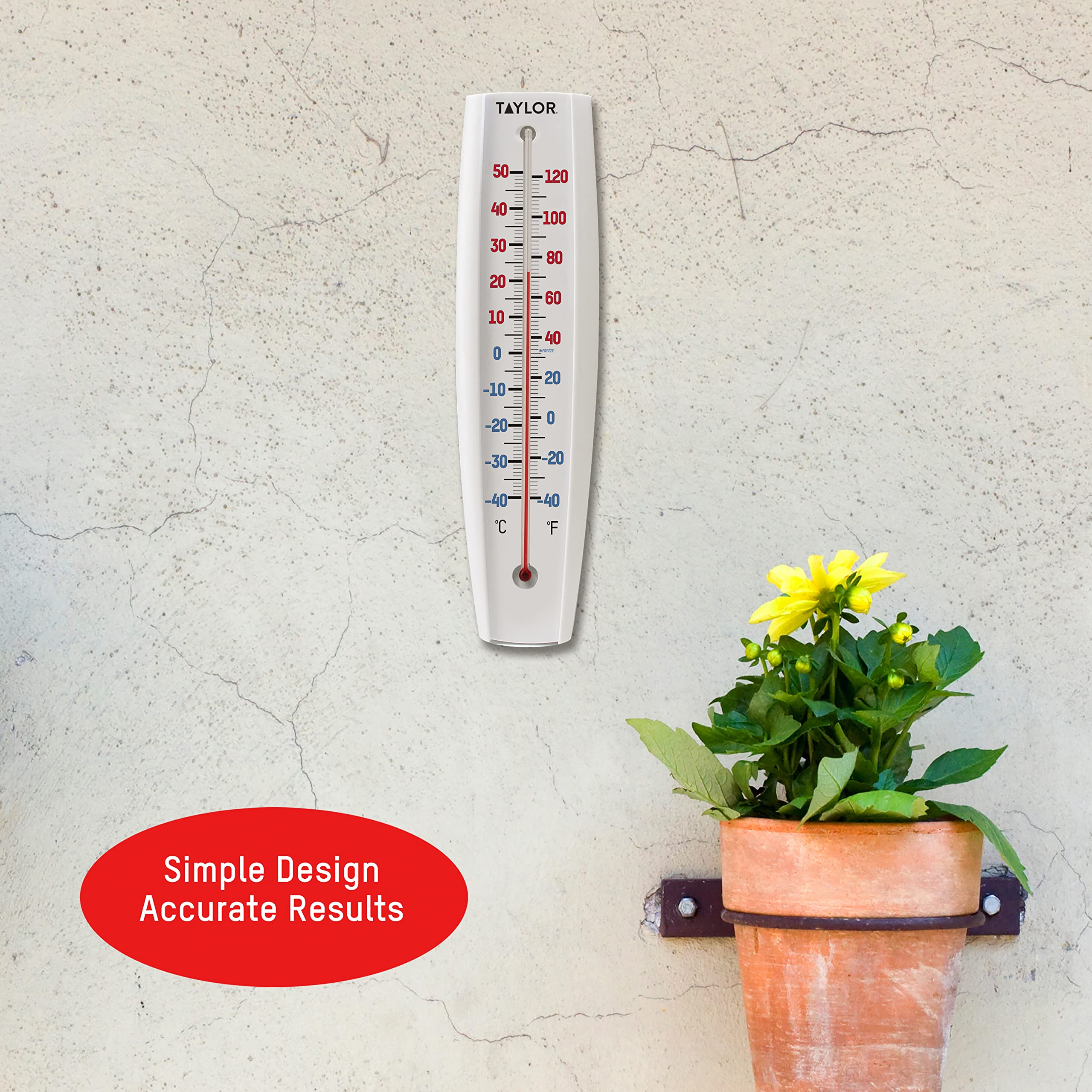 Taylor Jumbo Thermometer in outdoor garden setting