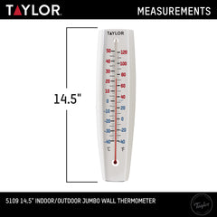 Taylor Jumbo Thermometer installed on a garden wall