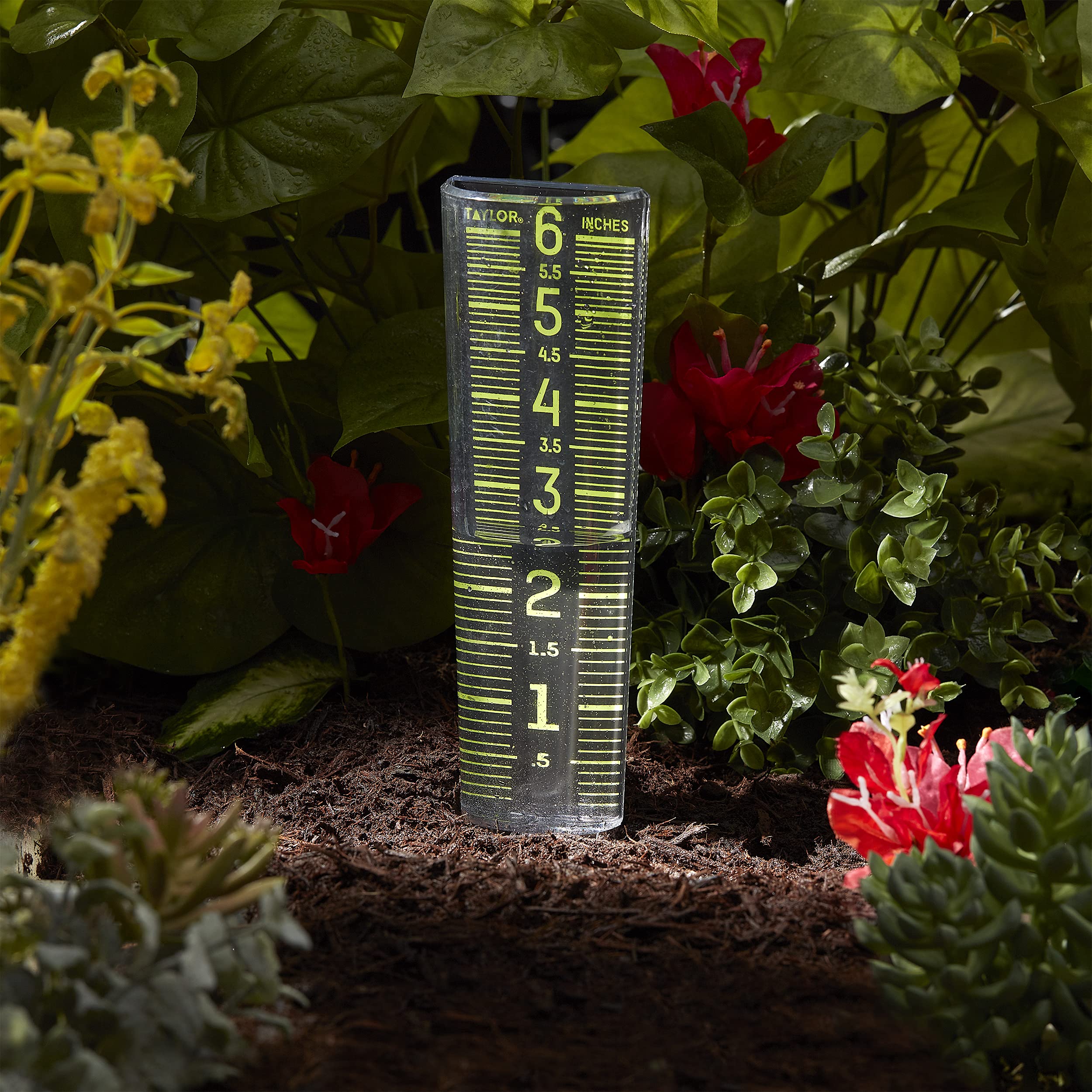 Taylor Rain Gauge inserted into the ground for outdoor use