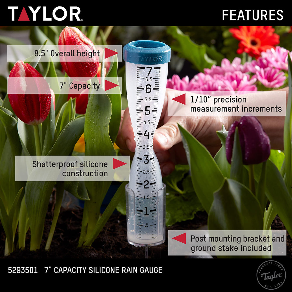 Taylor Rain Gauge measuring rainfall outdoors