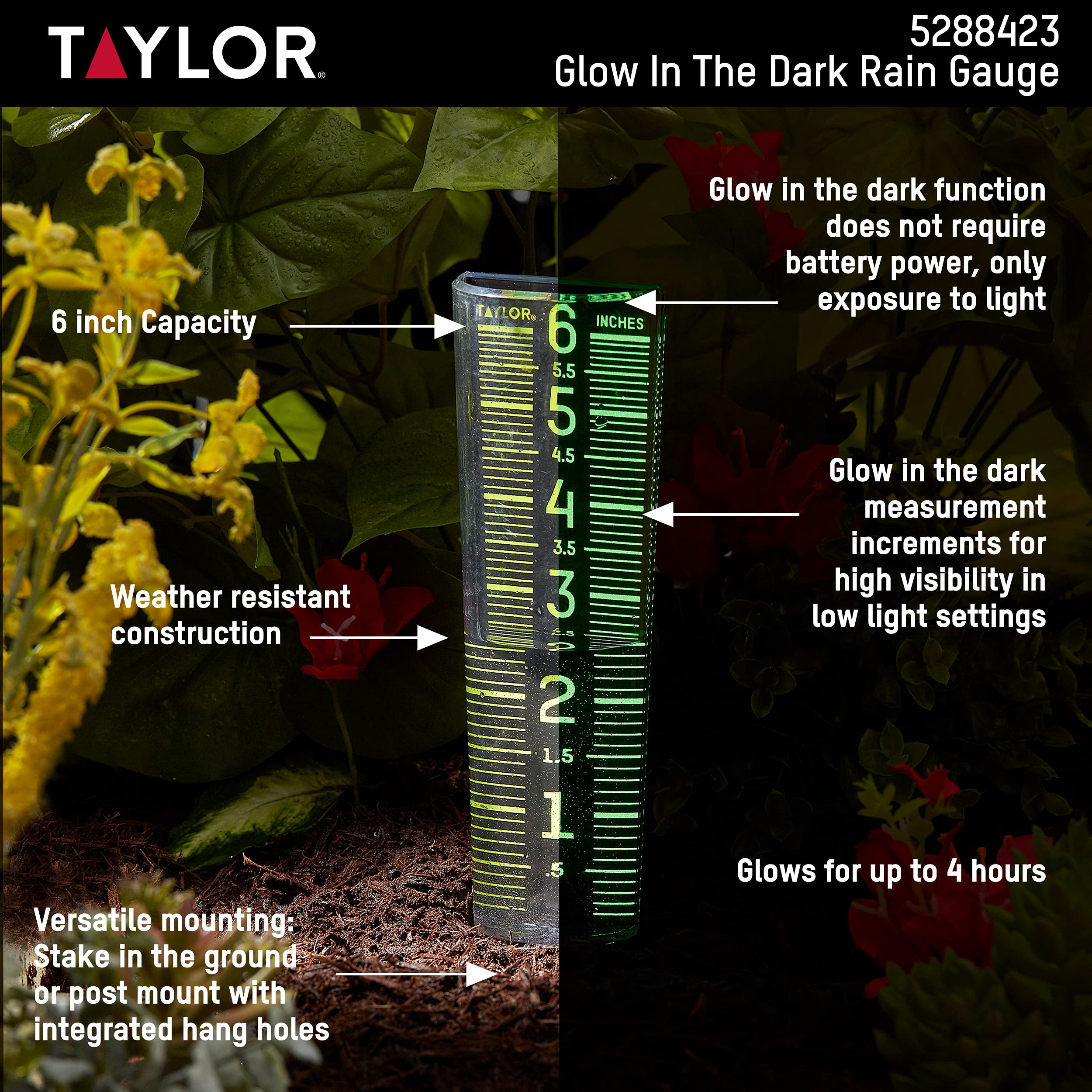 Taylor Rain Gauge with glow-in-the-dark feature visible at night