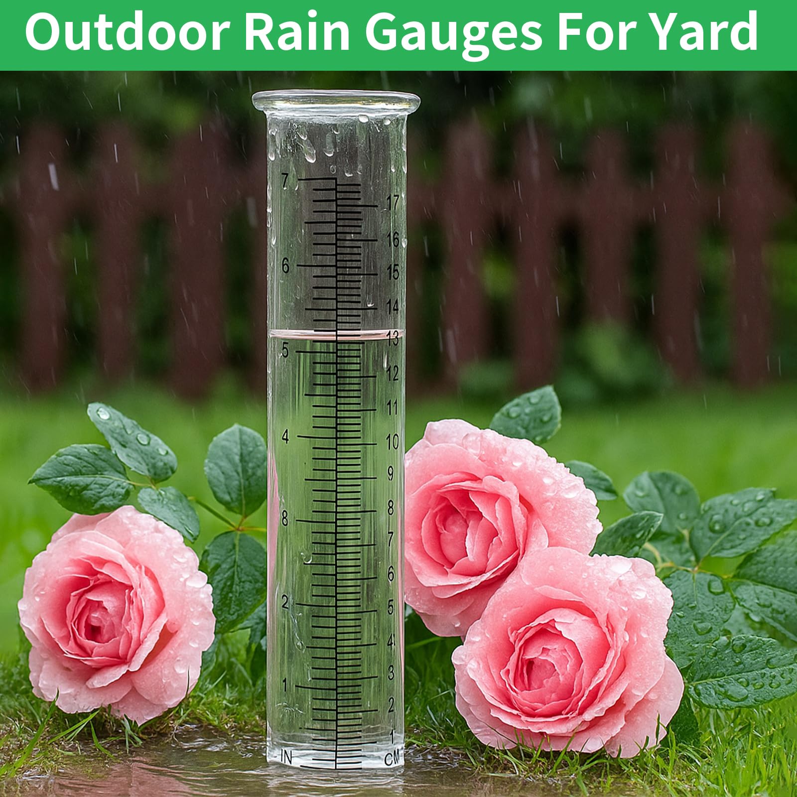 TBWHL rain gauge displayed in a garden setting