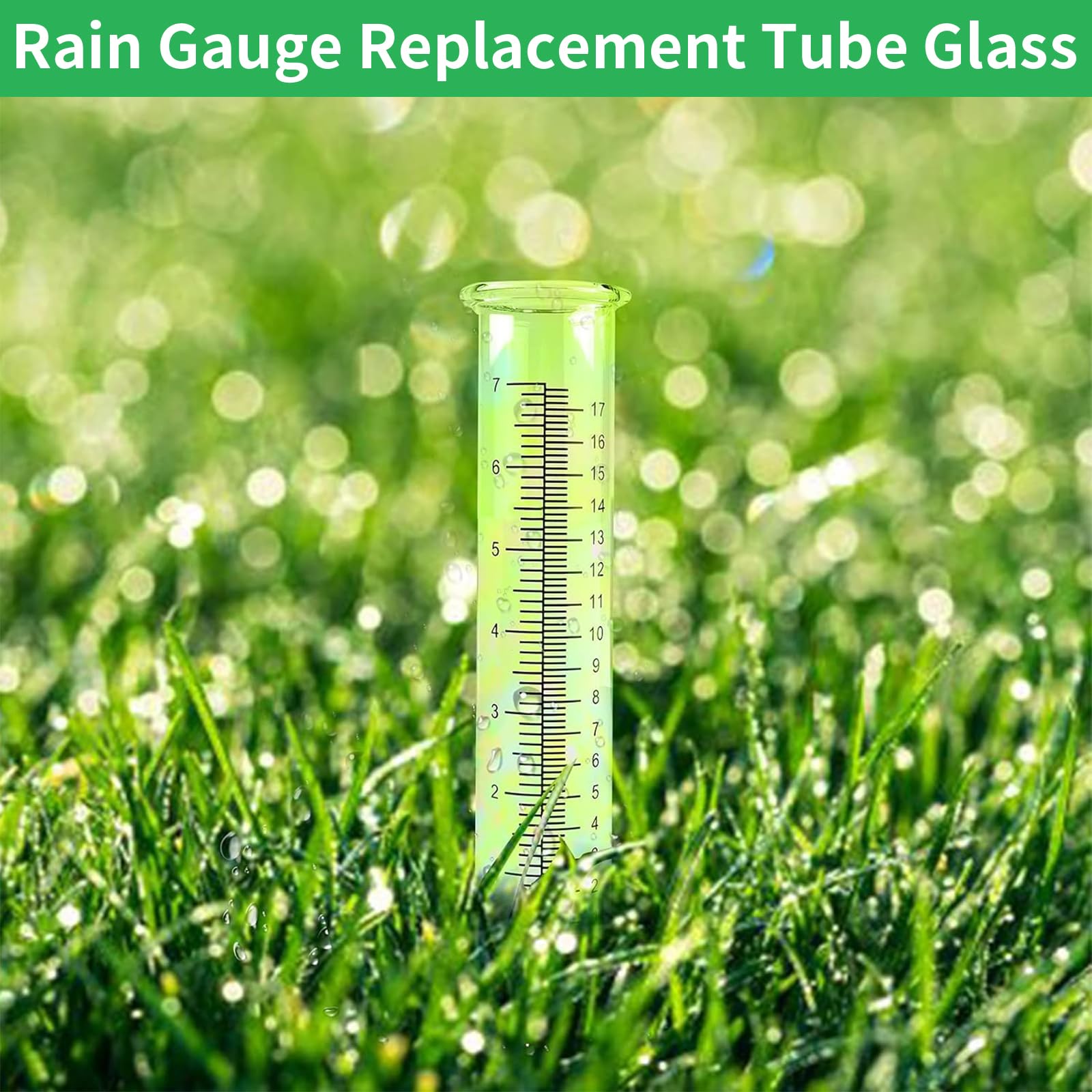 TBWHL rain gauge replacement tube beside a plant