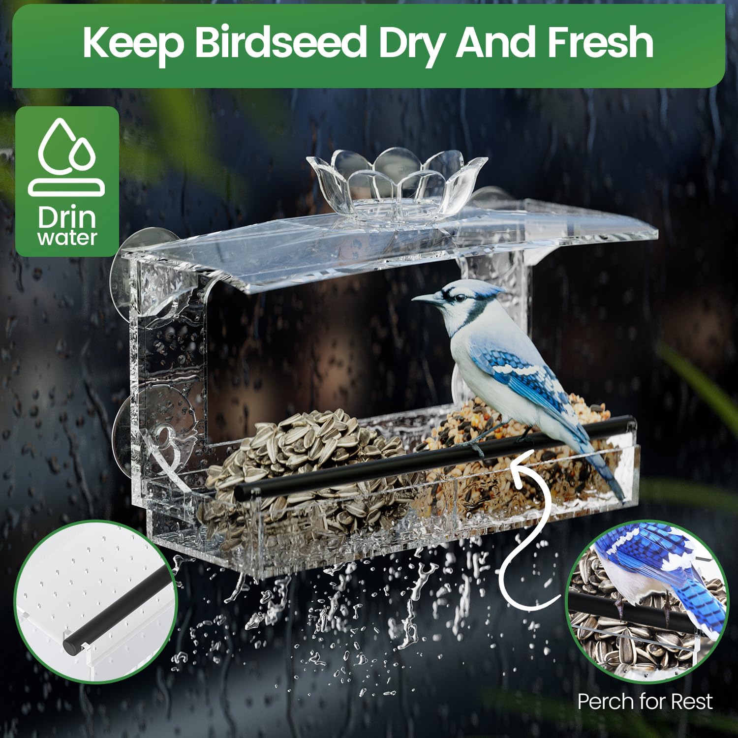 Tc-DcDM Bird Feeder attached to window with birds feeding