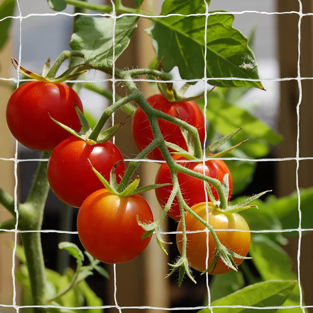 Tcamp Heavy-Duty Polyester Plant Trellis Netting 5 x 30ft front view