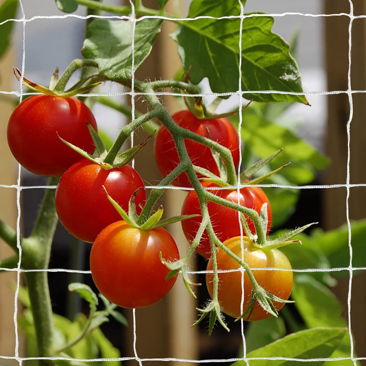 Tcamp Heavy-Duty Polyester Plant Trellis Netting 5 x 30ft front view