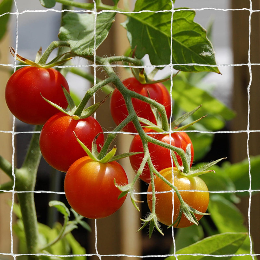 Tcamp Trellis Netting laid out flat for cutting
