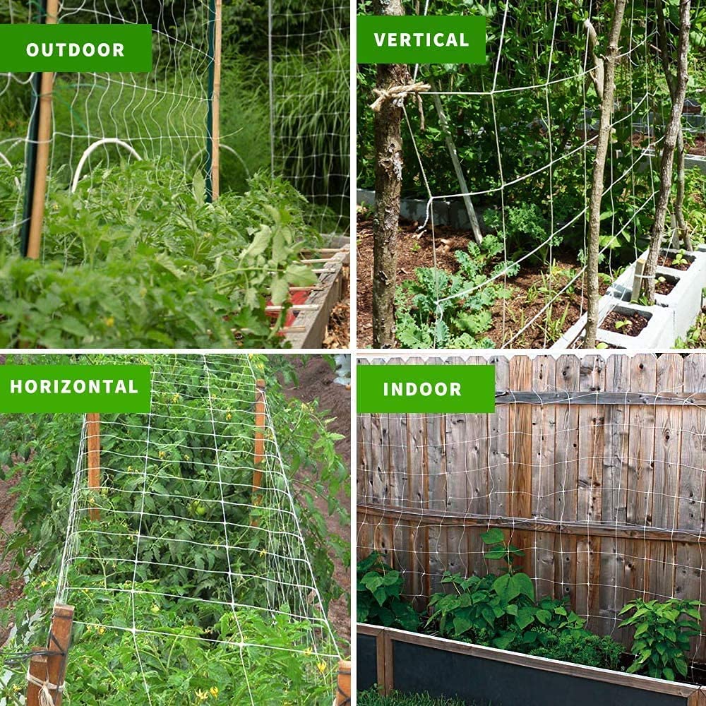 Tcamp trellis netting providing support for climbing plants