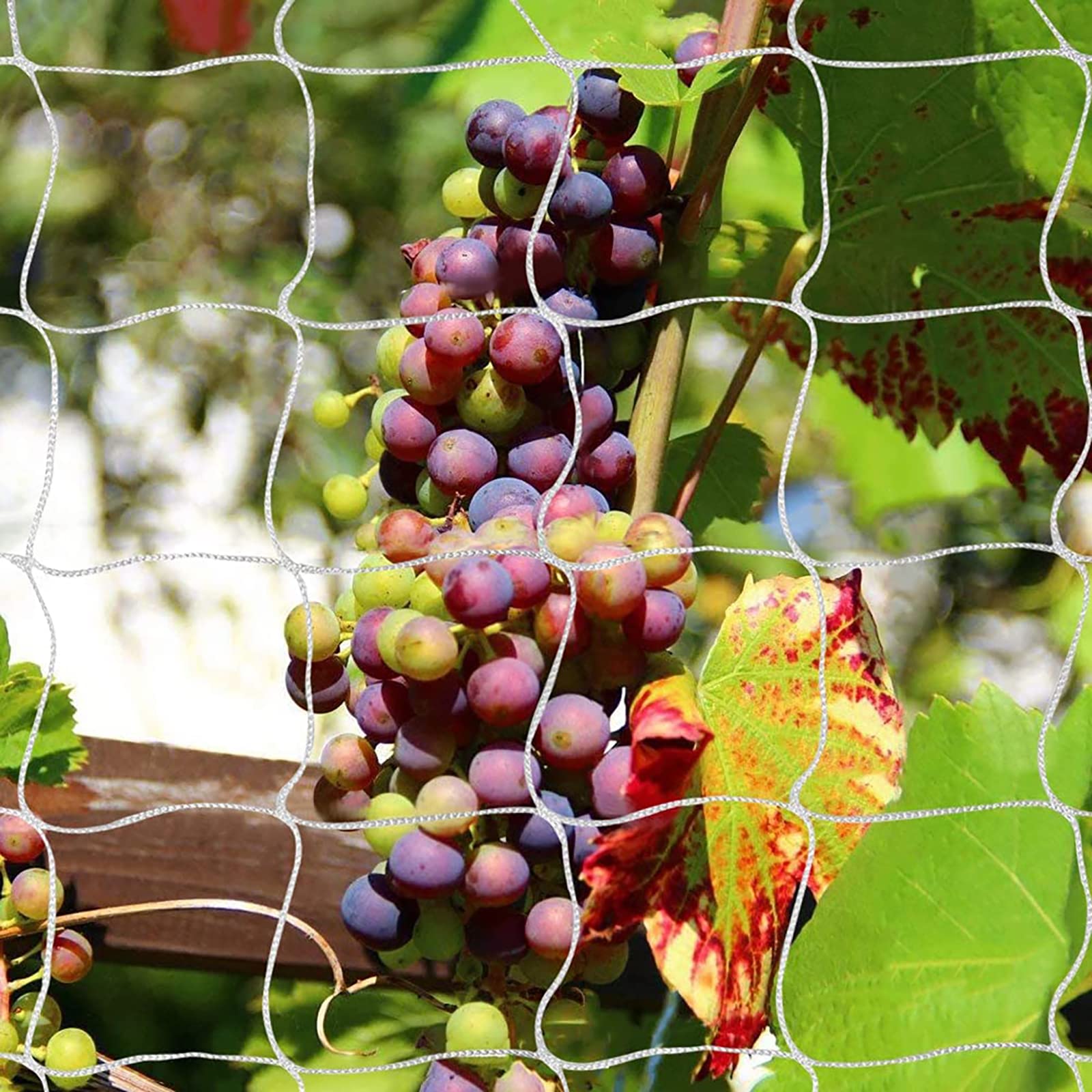 Tcamp trellis netting showing its heavy-duty nylon material